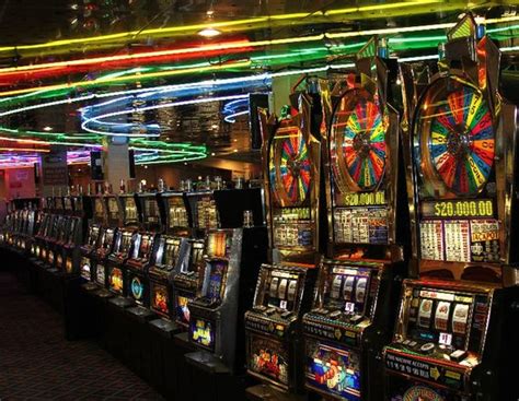 suncruz casino florida.